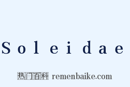 Soleidae是什么意思的图片